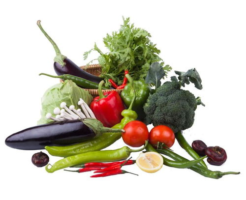 合理膳食,免疫基石 錦州醫(yī)科大學(xué)附屬第一醫(yī)院臨床營(yíng)養(yǎng)師李晶晶為您講解