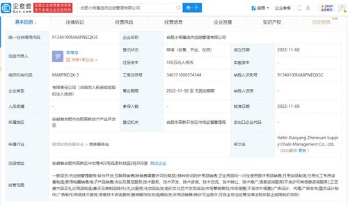 小楊哥的野心 從直播間到供應鏈，1億買樓背后的商業棋局